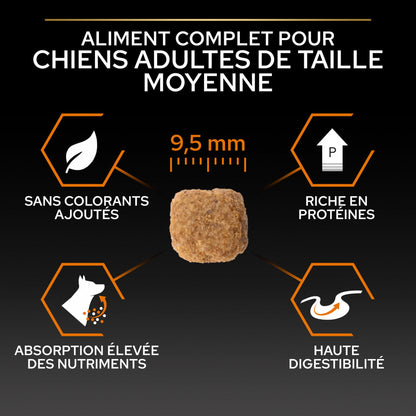 PRO PLAN Everyday Nutrition Small &amp; Mini Adult au Poulet - Croquettes pour chien