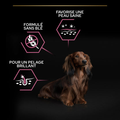 PRO PLAN Sensitive Skin Small &amp; Mini Adult au Saumon - Croquettes pour chien