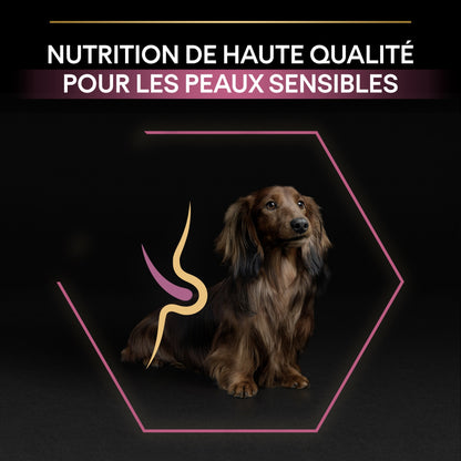 PRO PLAN Sensitive Skin Small &amp; Mini Adult au Saumon - Croquettes pour chien