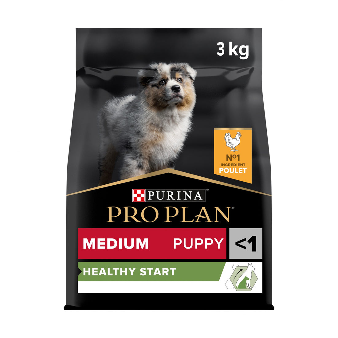 PRO PLAN Healthy Start Medium Puppy au Poulet - Croquettes pour chien