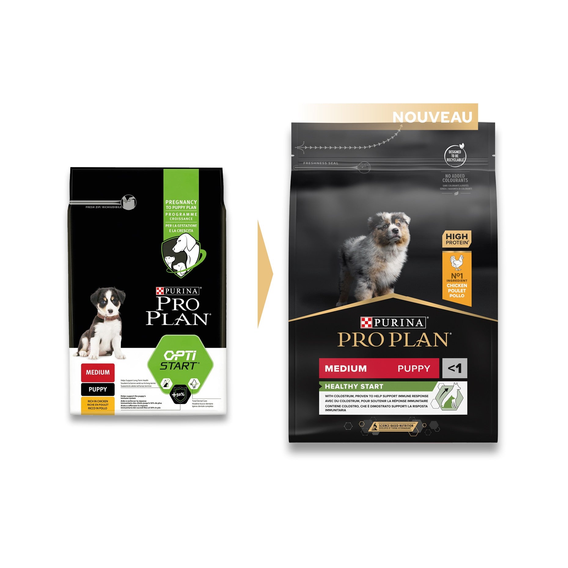 PRO PLAN Healthy Start Medium Puppy au Poulet - Croquettes pour chien