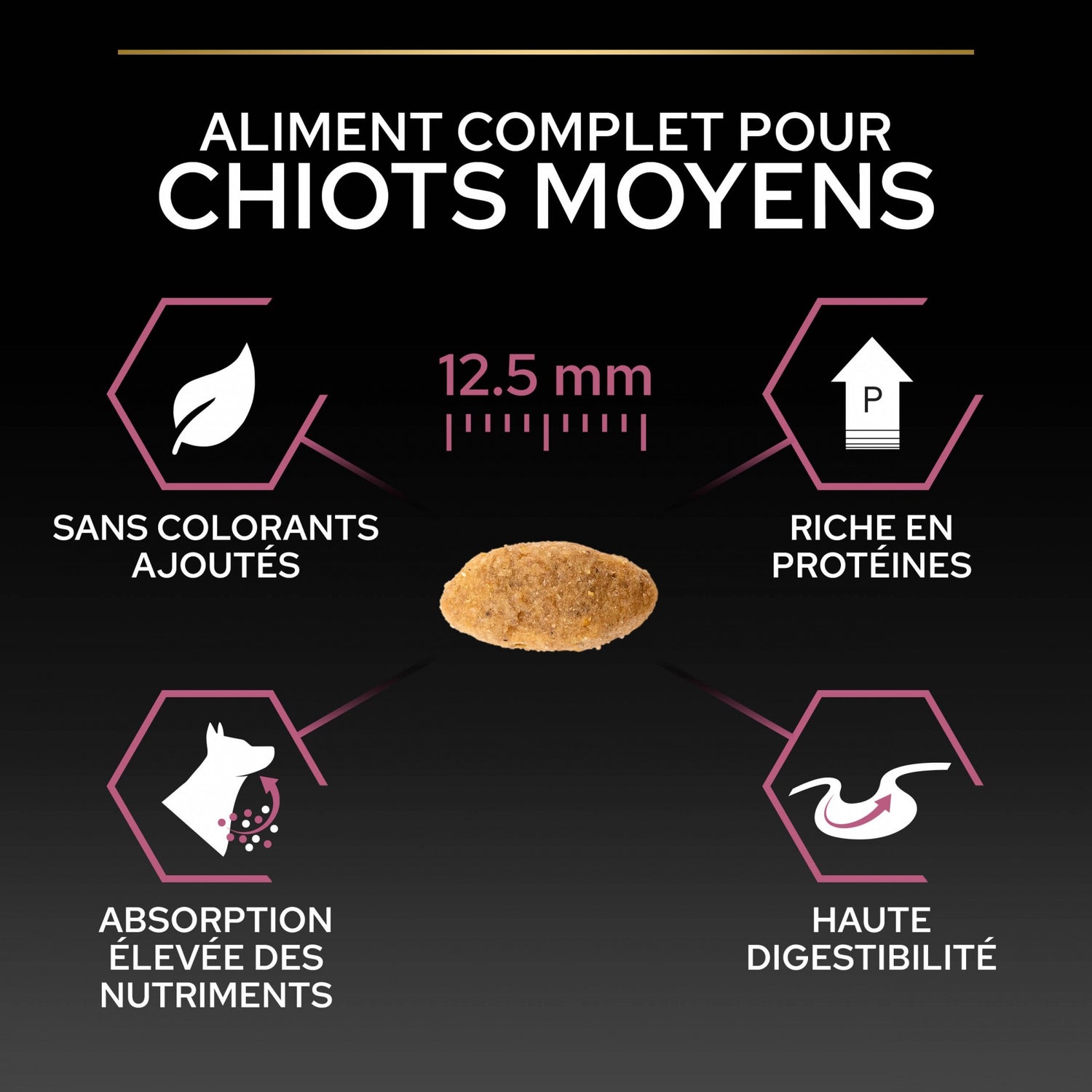 PRO PLAN Sensitive Skin Medium Puppy au Saumon - Croquettes pour chien