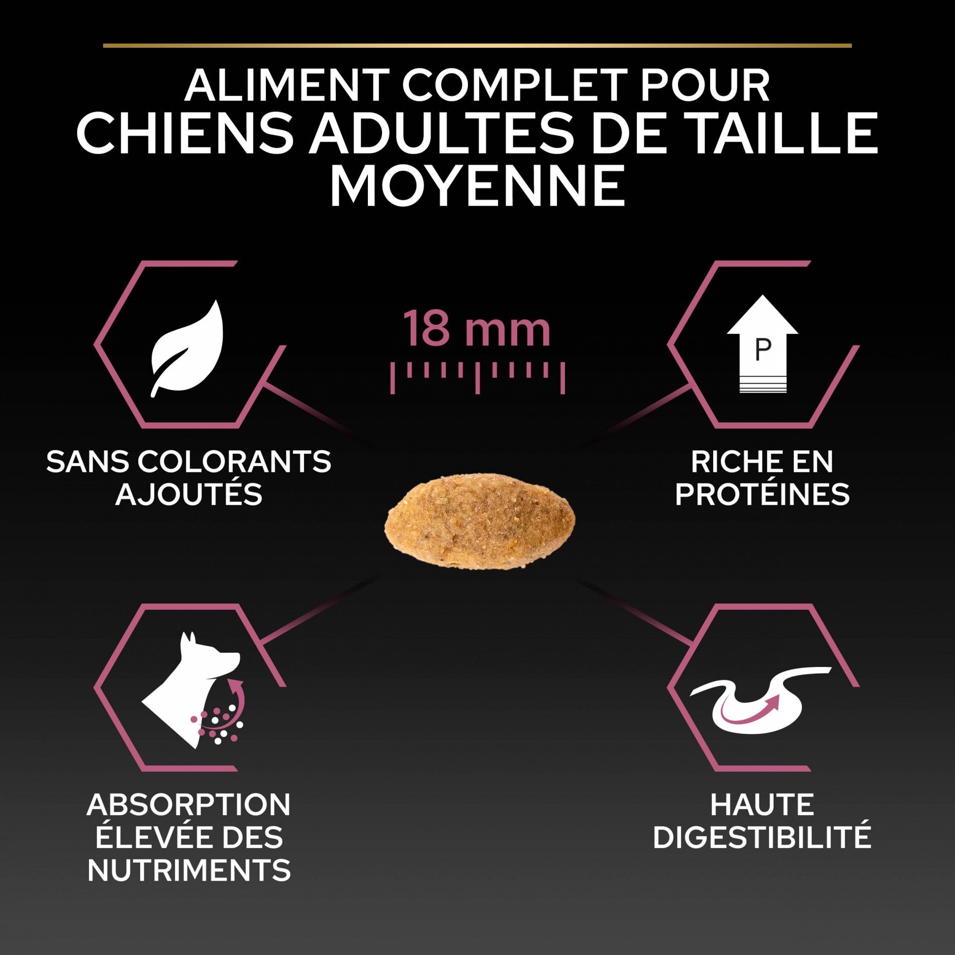 PRO PLAN Sensitive Skin Medium Adult au Saumon - Croquettes pour chien