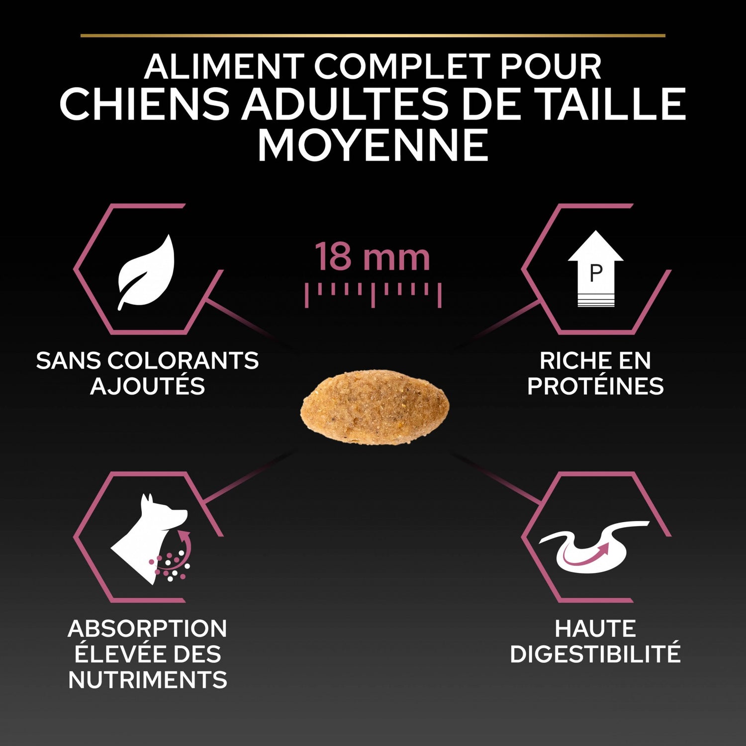 PRO PLAN Sensitive Skin Medium Adult au Saumon - Croquettes pour chien