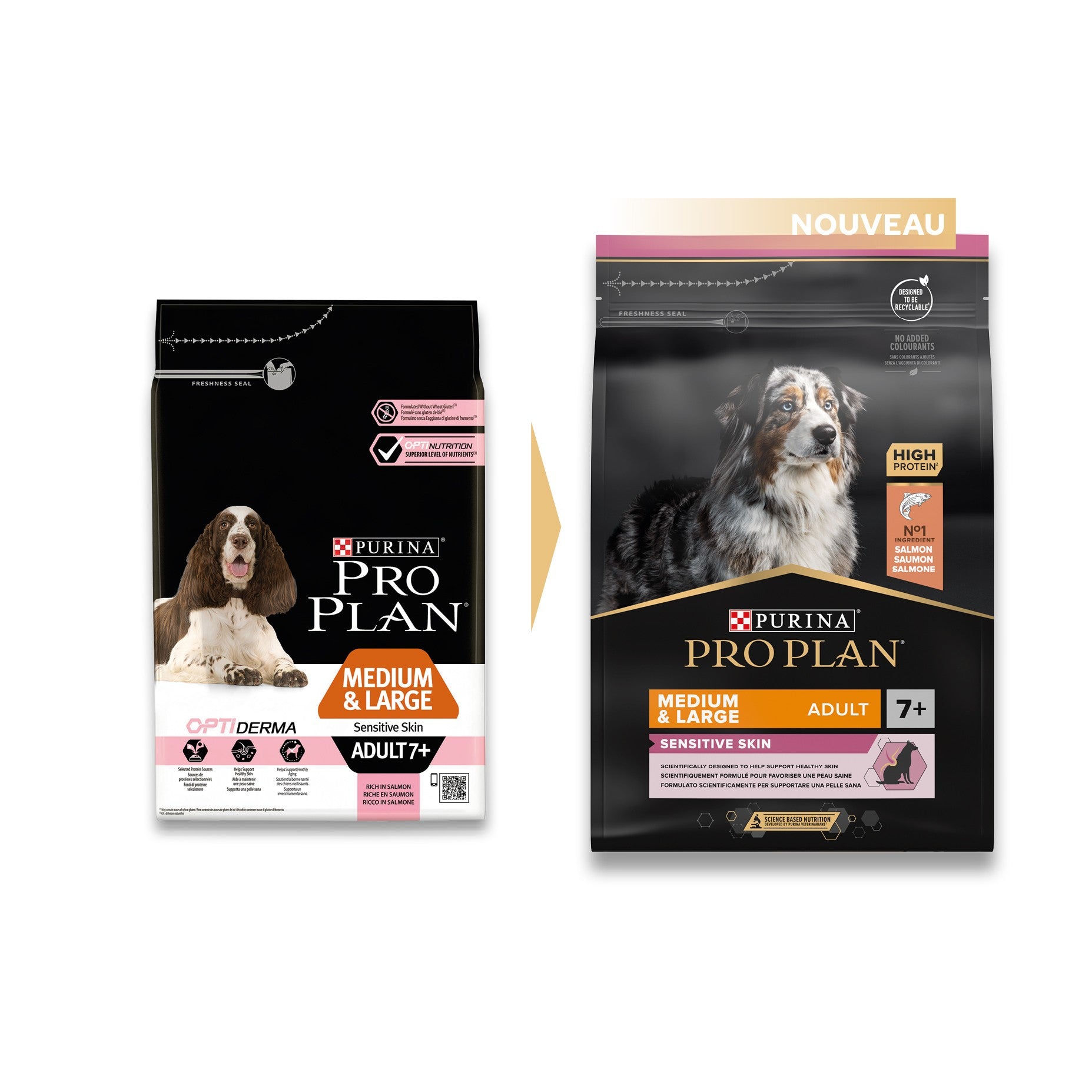 PRO PLAN Sensitive Skin Medium & Large Adult au Saumon - Croquettes pour chien