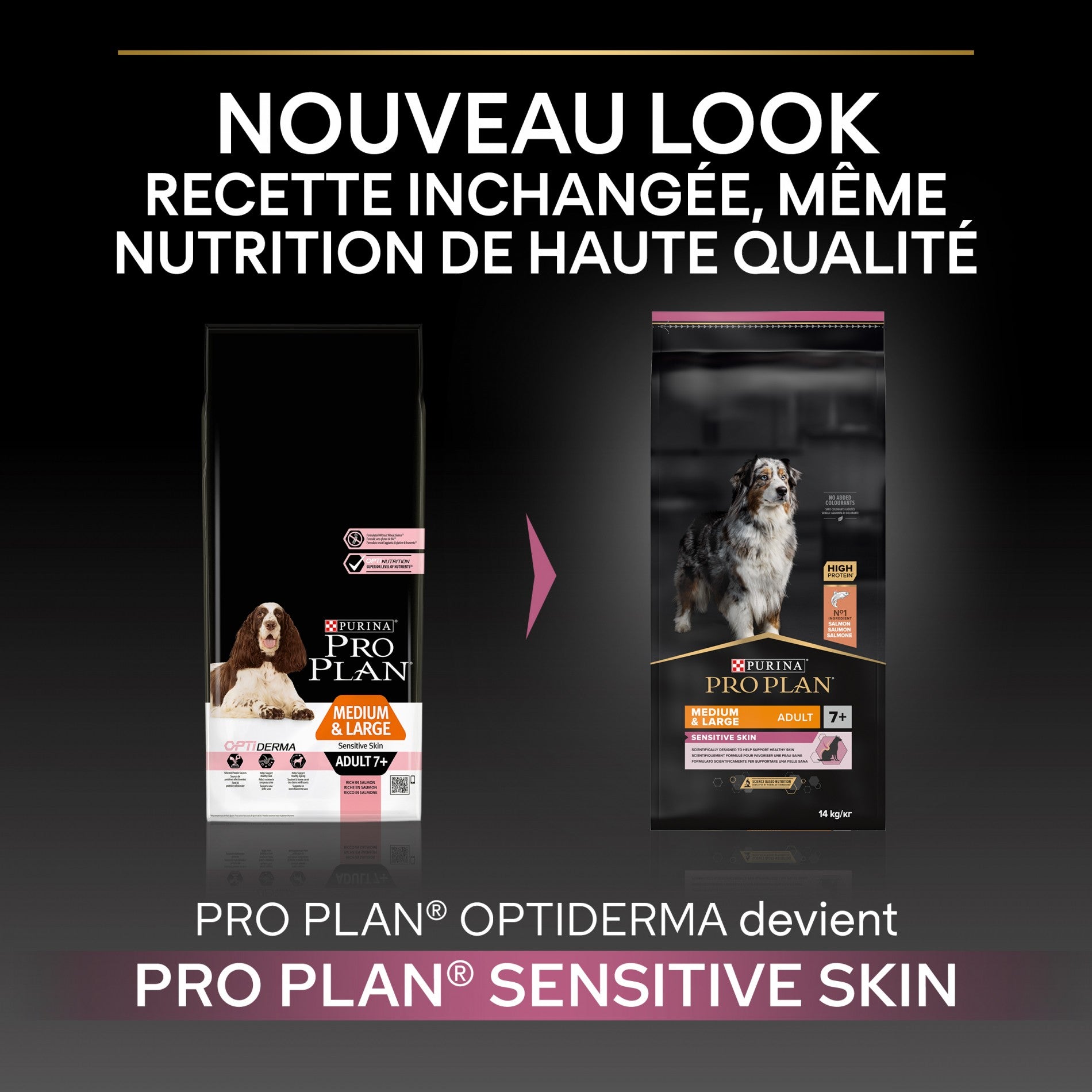 PRO PLAN Sensitive Skin Medium & Large Adult au Saumon - Croquettes pour chien