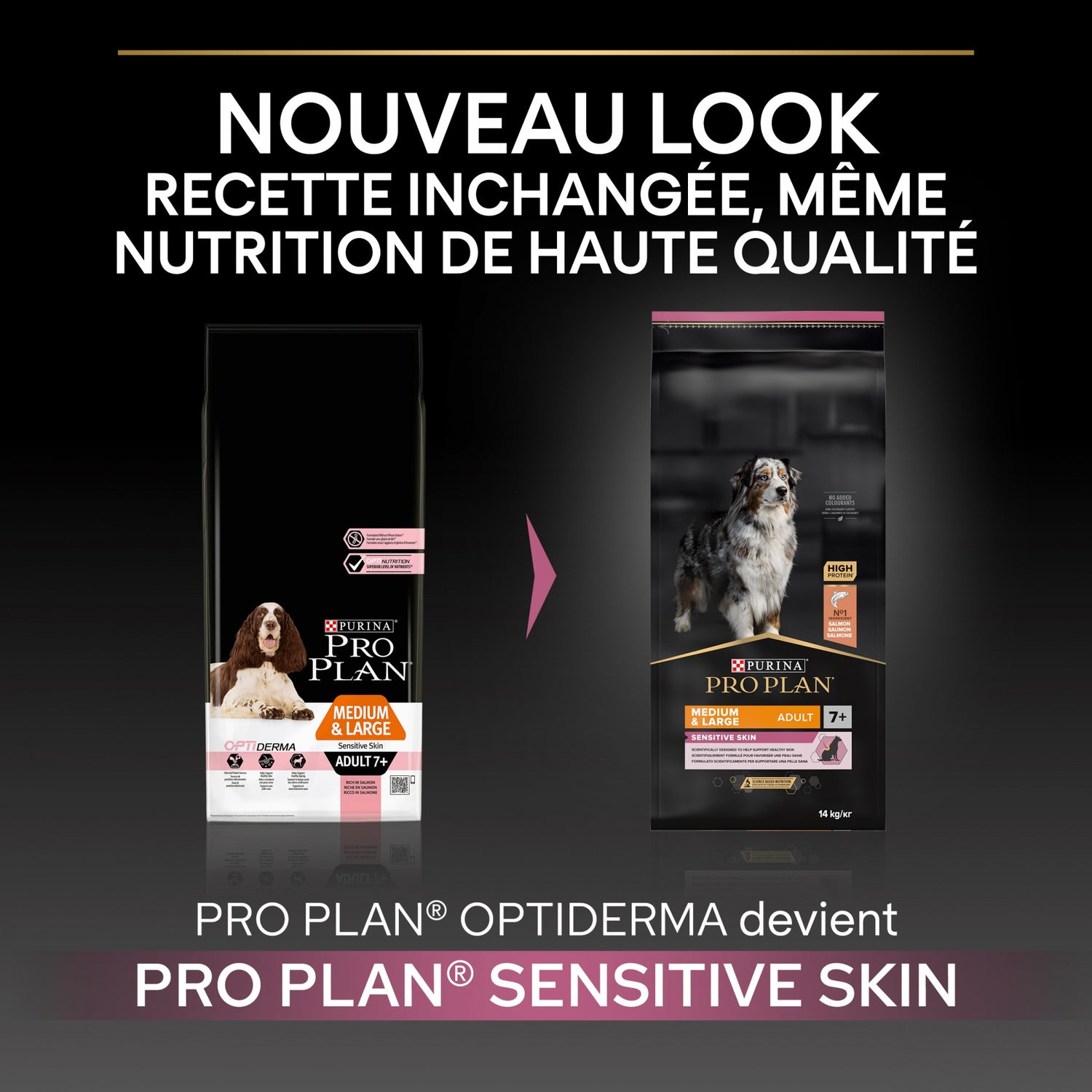 PRO PLAN Sensitive Skin Medium &amp; Large Adult au Saumon - Croquettes pour chien