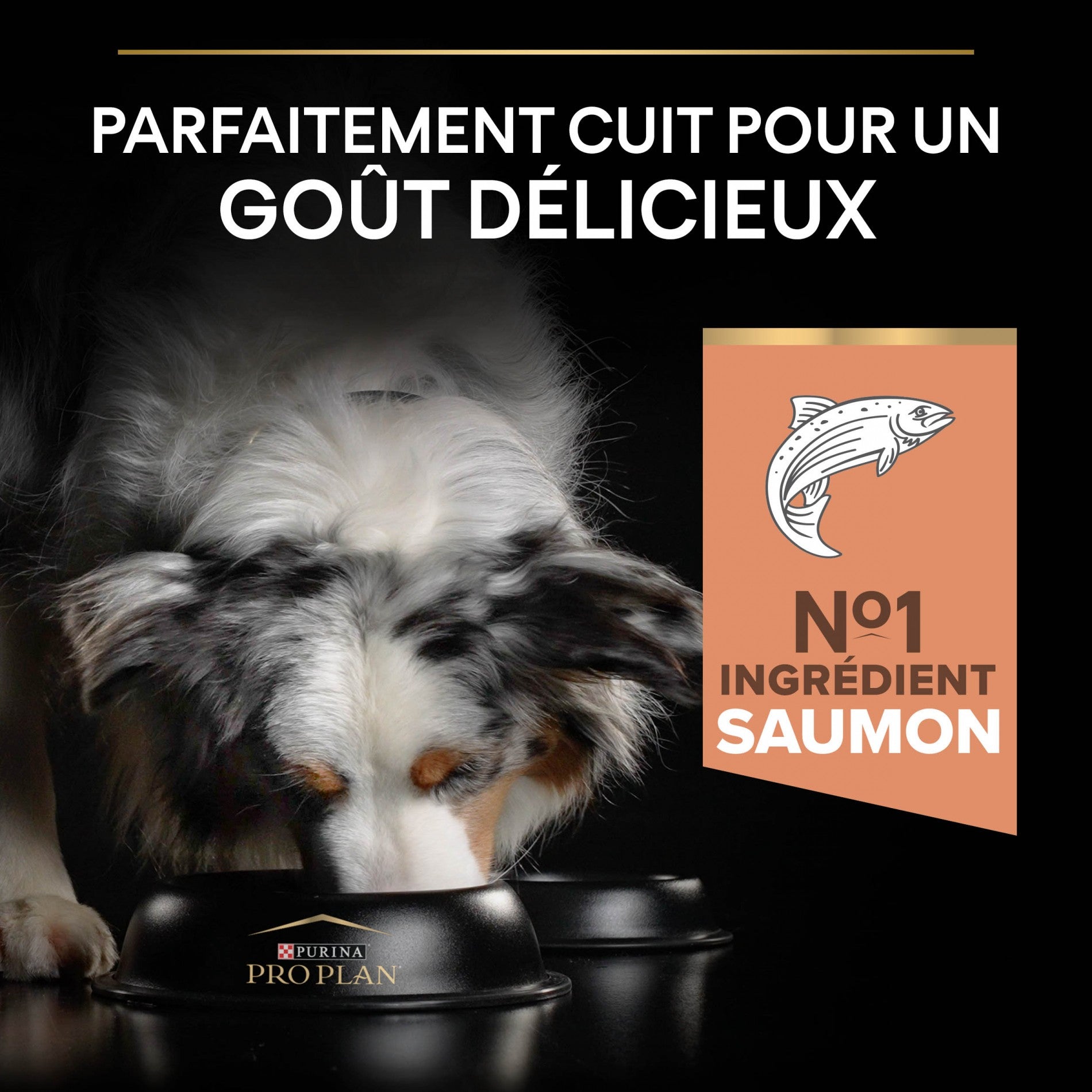 PRO PLAN Sensitive Skin Medium & Large Adult au Saumon - Croquettes pour chien