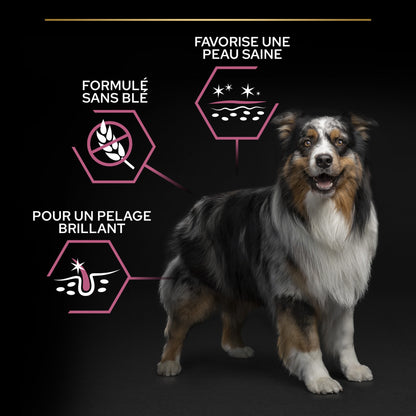 PRO PLAN Sensitive Skin Medium &amp; Large Adult au Saumon - Croquettes pour chien
