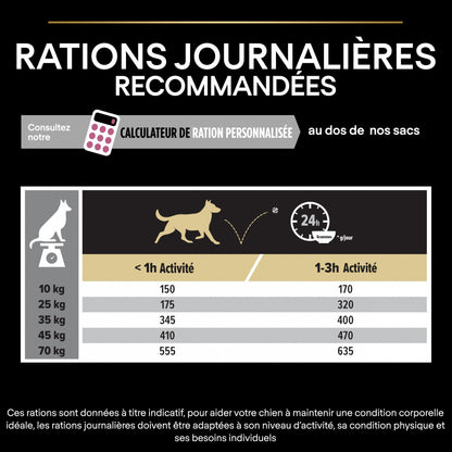 PRO PLAN Sensitive Skin Medium &amp; Large Adult au Saumon - Croquettes pour chien