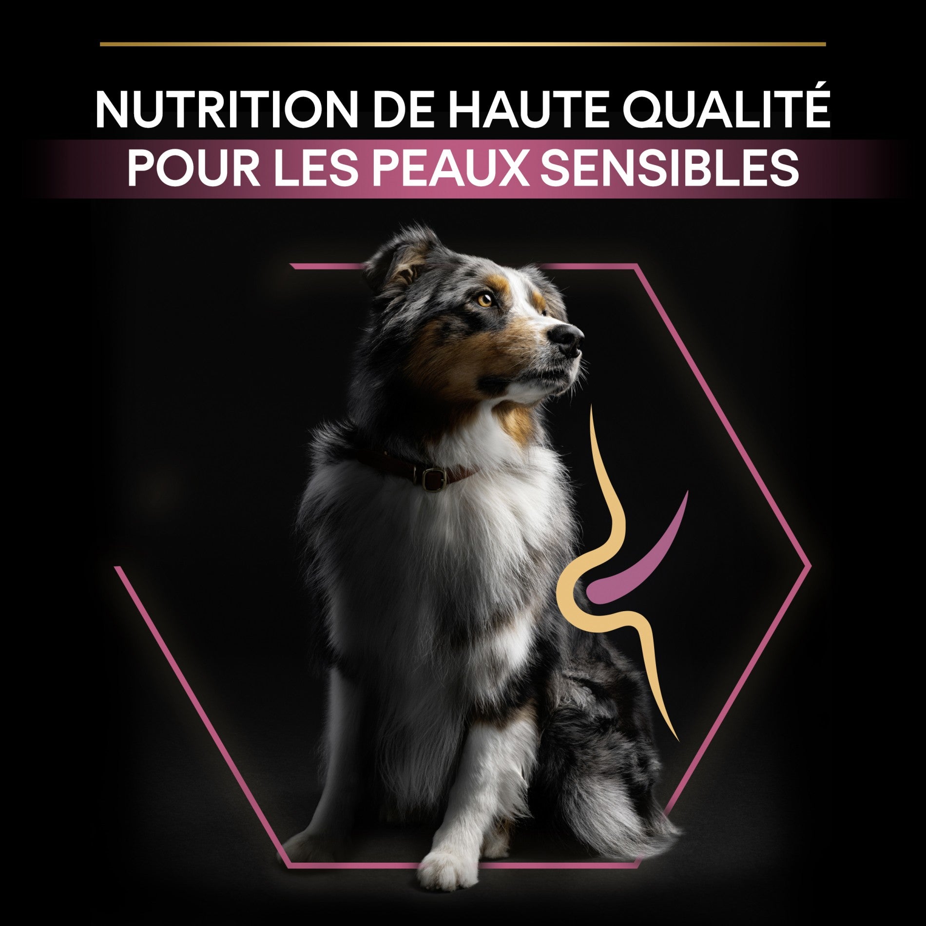 PRO PLAN Sensitive Skin Medium & Large Adult au Saumon - Croquettes pour chien