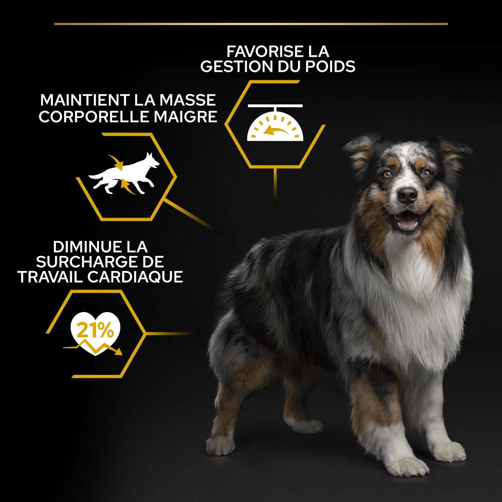 PRO PLAN Light/Sterilised All Sizes Adult au Poulet - Croquettes pour chien
