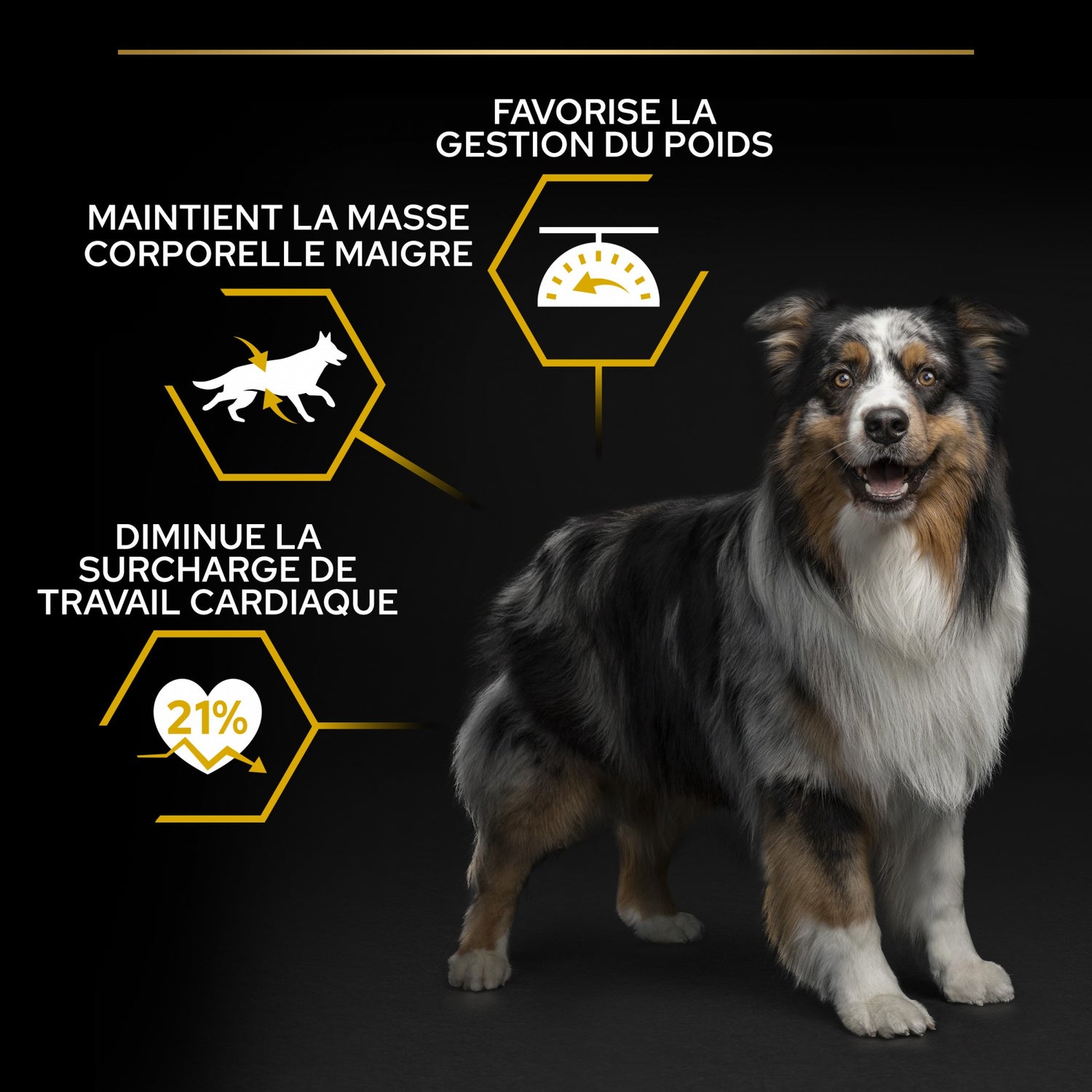 PRO PLAN Light/Sterilised All Sizes Adult au Poulet - Croquettes pour chien