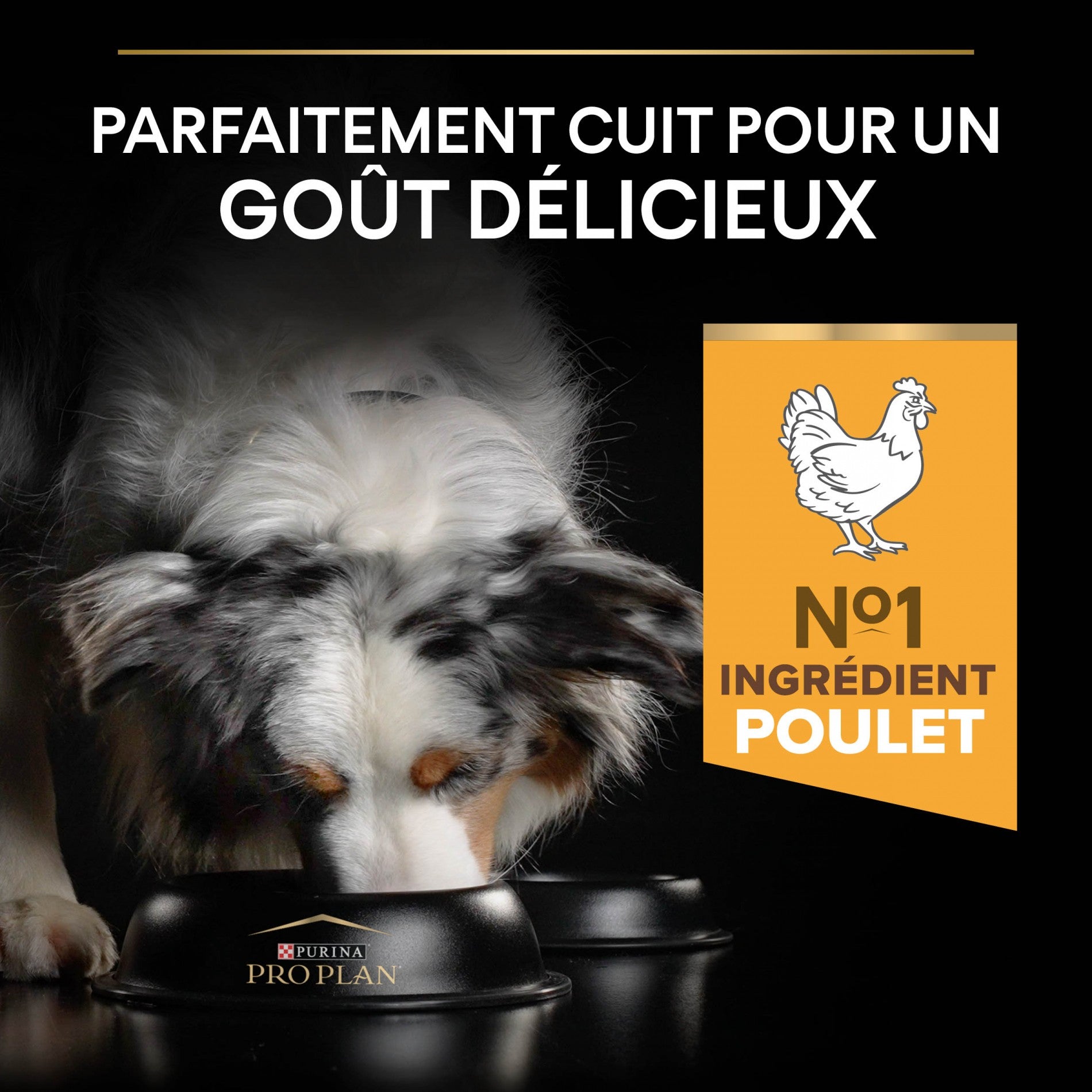 PRO PLAN Age Defence Medium &amp; Large Adult au Poulet - Croquettes pour chien