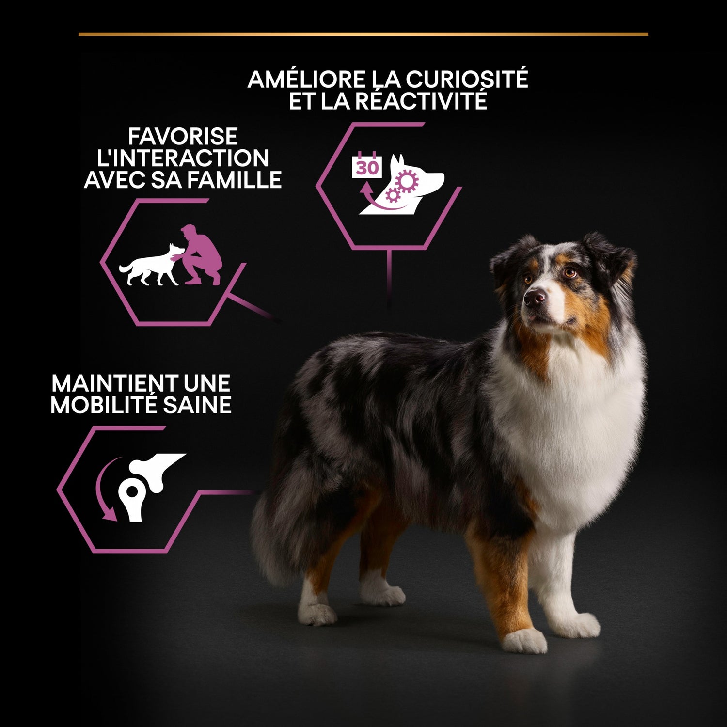 PRO PLAN Age Defence Medium &amp; Large Adult au Poulet - Croquettes pour chien
