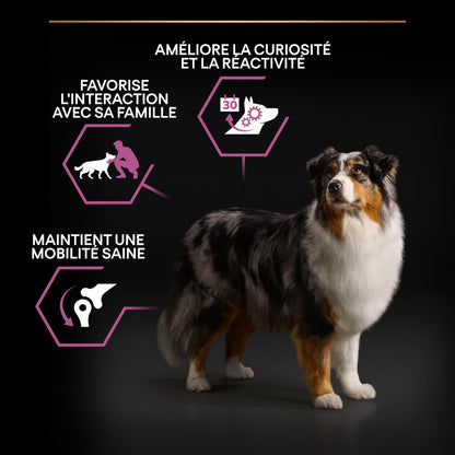 PRO PLAN Age Defence Medium &amp; Large Adult au Poulet - Croquettes pour chien