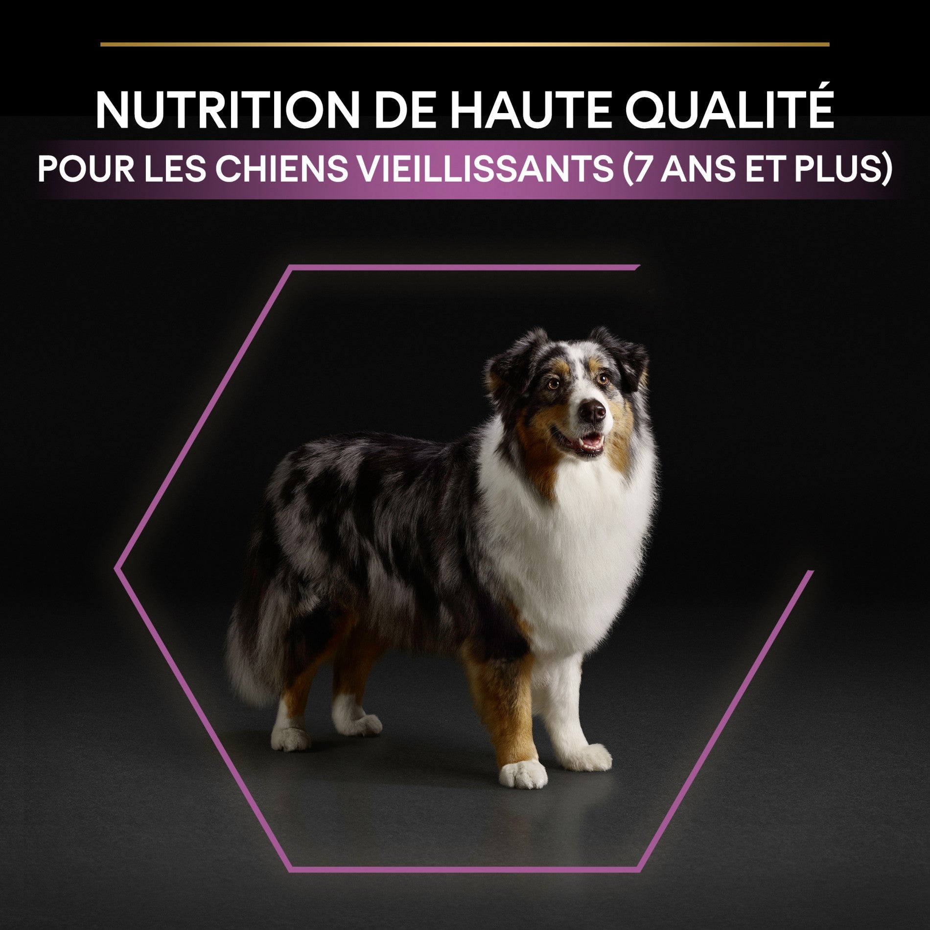 PRO PLAN Age Defence Medium &amp; Large Adult au Poulet - Croquettes pour chien