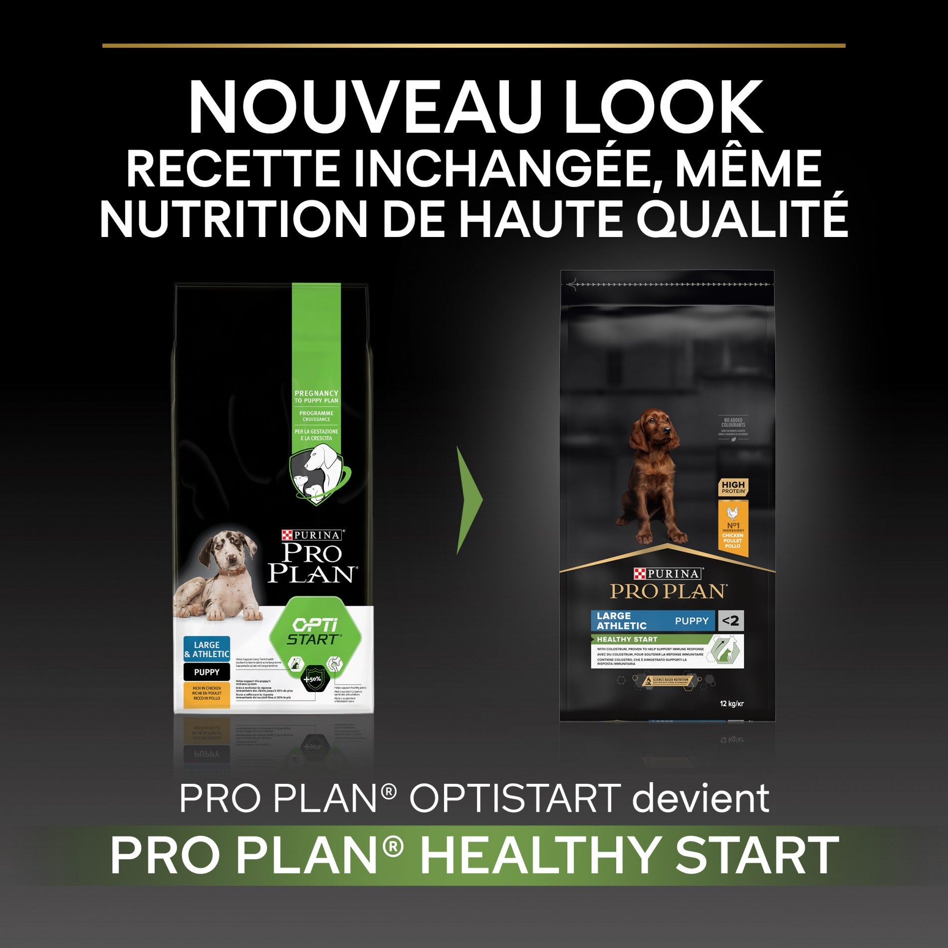 PRO PLAN Healthy Start Large Athletic Puppy au Poulet - Croquettes pour chien