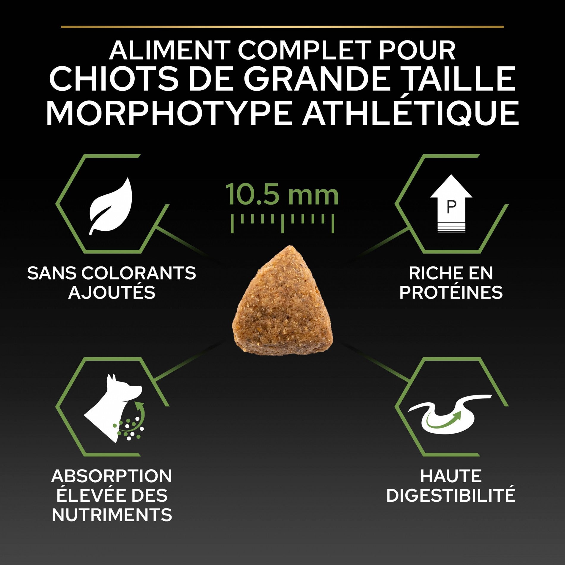 PRO PLAN Healthy Start Large Athletic Puppy au Poulet - Croquettes pour chien
