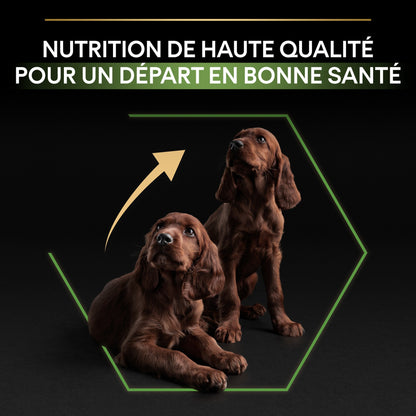 PRO PLAN Healthy Start Large Athletic Puppy au Poulet - Croquettes pour chien