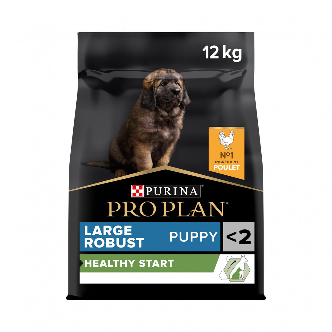 PRO PLAN Healthy Start Large Robust Puppy au Poulet - Croquettes pour chien