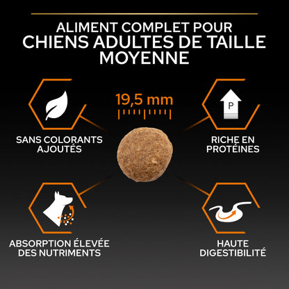 PRO PLAN Everyday Nutrition Large Robust Adult au Poulet - Croquettes pour chien