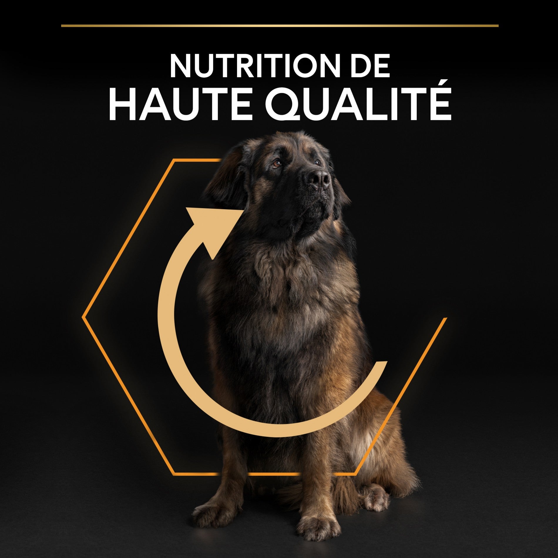 PRO PLAN Everyday Nutrition Large Robust Adult au Poulet - Croquettes pour chien