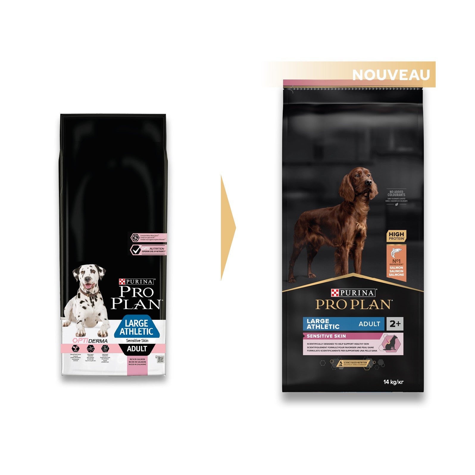 PRO PLAN Sensitive Skin Large Athletic Adult au Saumon - Croquettes pour chien