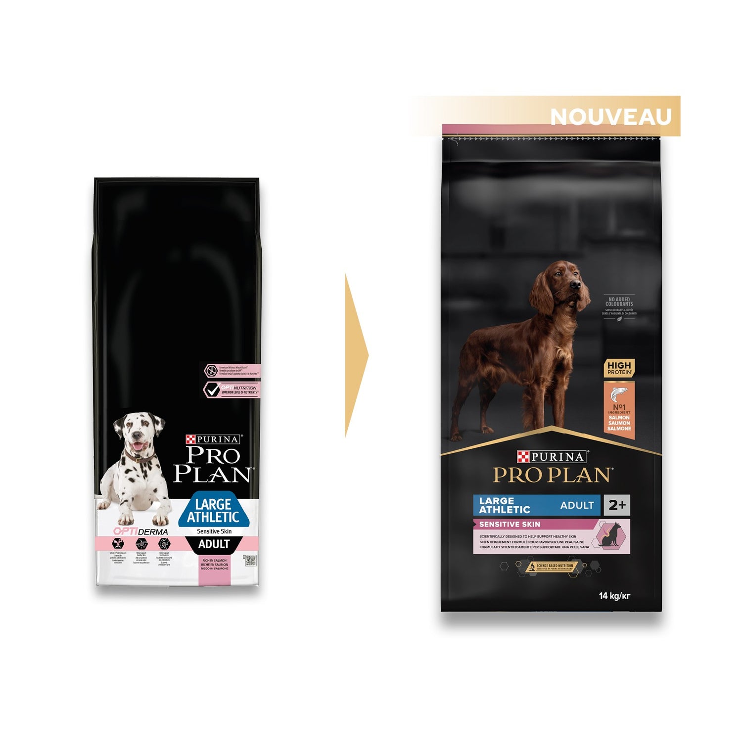 PRO PLAN Sensitive Skin Large Athletic Adult au Saumon - Croquettes pour chien