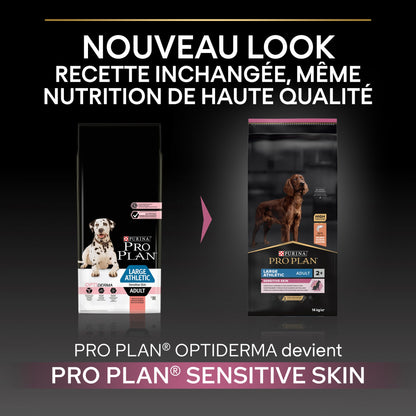 PRO PLAN Sensitive Skin Large Athletic Adult au Saumon - Croquettes pour chien