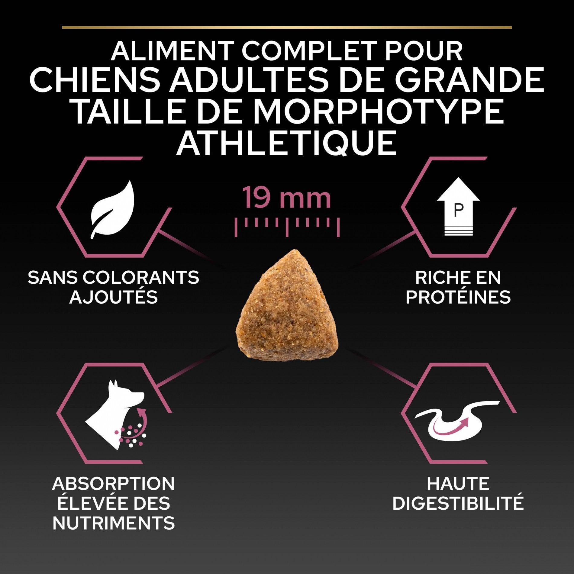 PRO PLAN Sensitive Skin Large Athletic Adult au Saumon - Croquettes pour chien
