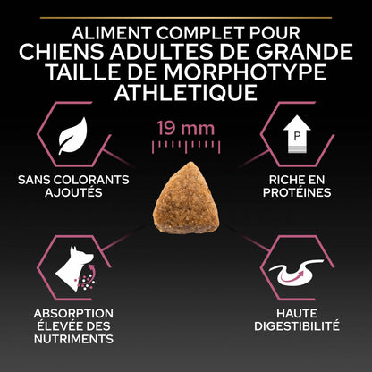 PRO PLAN Sensitive Skin Large Athletic Adult au Saumon - Croquettes pour chien