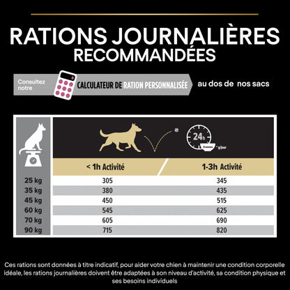 PRO PLAN Sensitive Skin Large Athletic Adult au Saumon - Croquettes pour chien