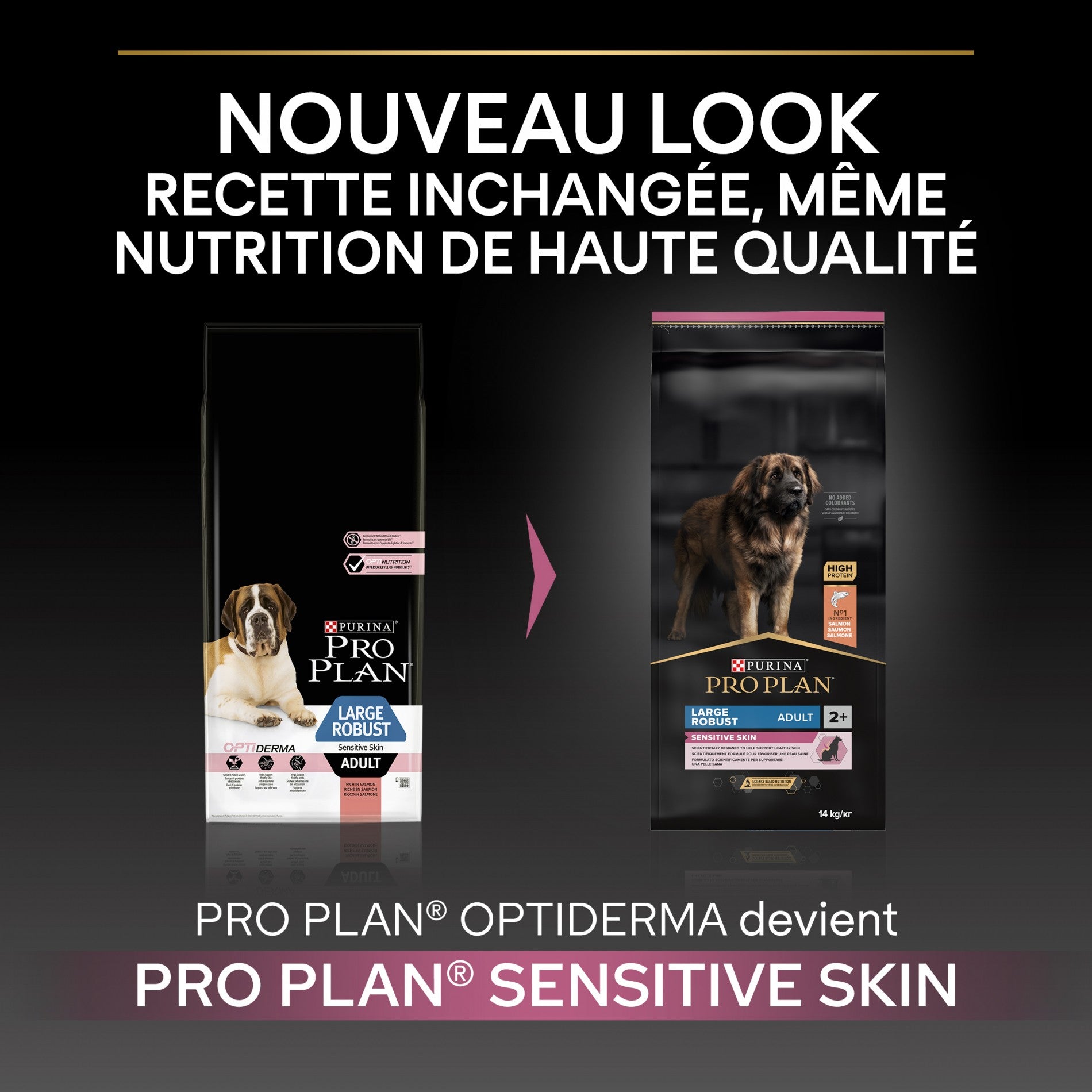 PRO PLAN Sensitive Skin Large Robust Adult au Saumon - Croquettes pour chien