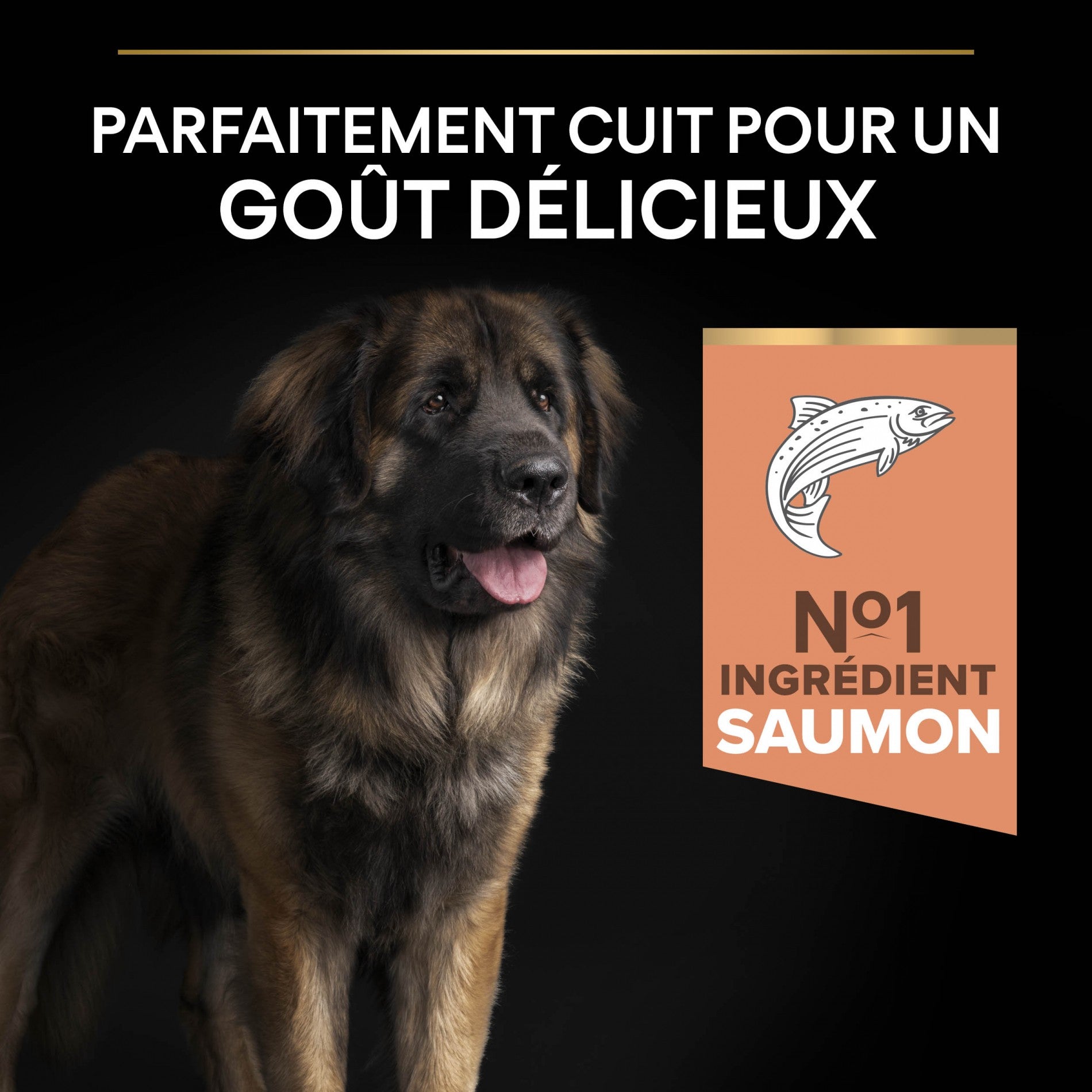 PRO PLAN Sensitive Skin Large Robust Adult au Saumon - Croquettes pour chien