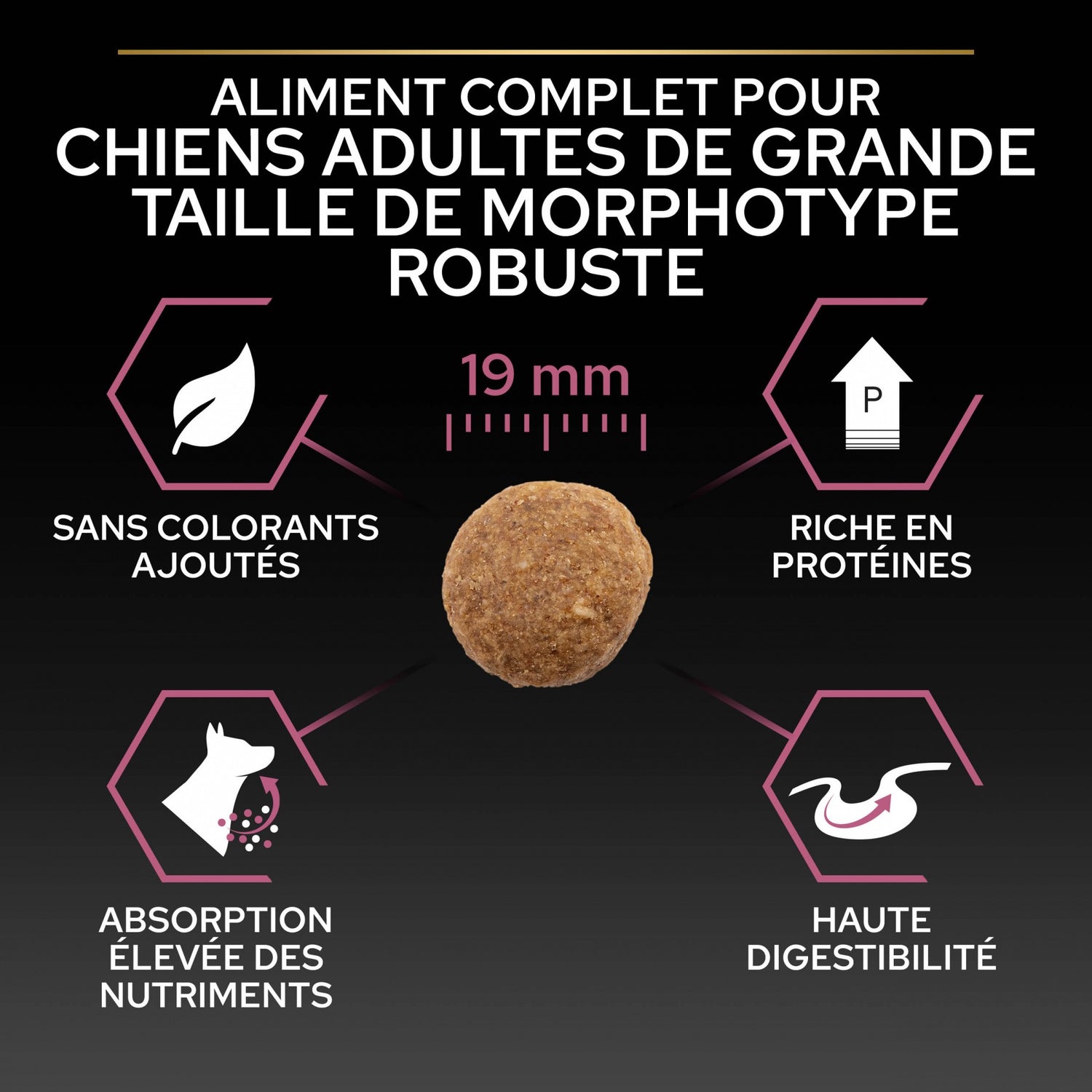 PRO PLAN Sensitive Skin Large Robust Adult au Saumon - Croquettes pour chien