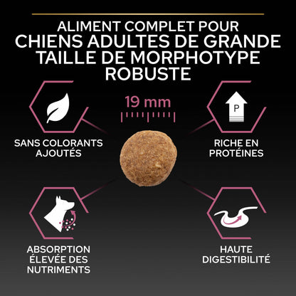 PRO PLAN Sensitive Skin Large Robust Adult au Saumon - Croquettes pour chien