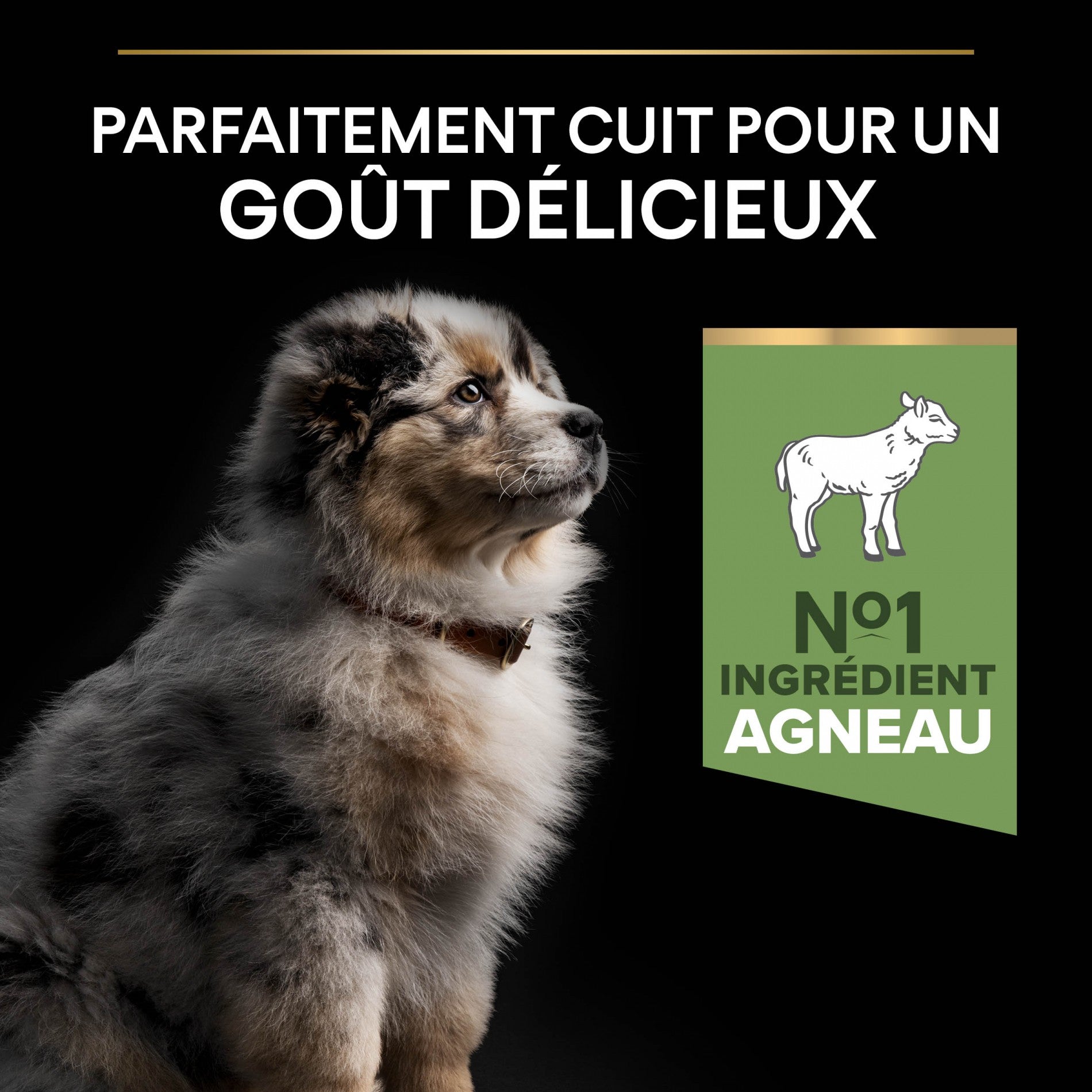 PRO PLAN Sensitive Digestion Medium Puppy à la Agneau- Croquettes pour chien