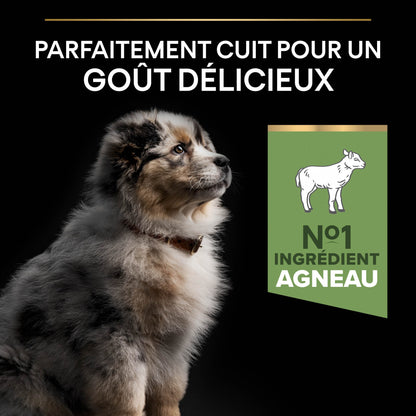 PRO PLAN Sensitive Digestion Medium Puppy à la Agneau- Croquettes pour chien