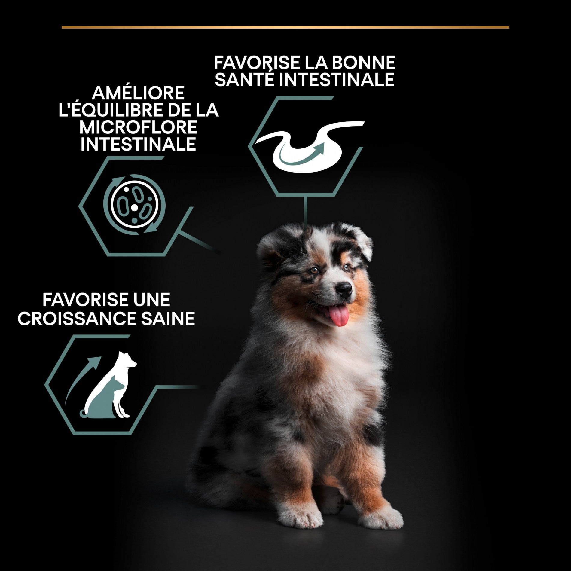 PRO PLAN Sensitive Digestion Medium Puppy à la Agneau- Croquettes pour chien