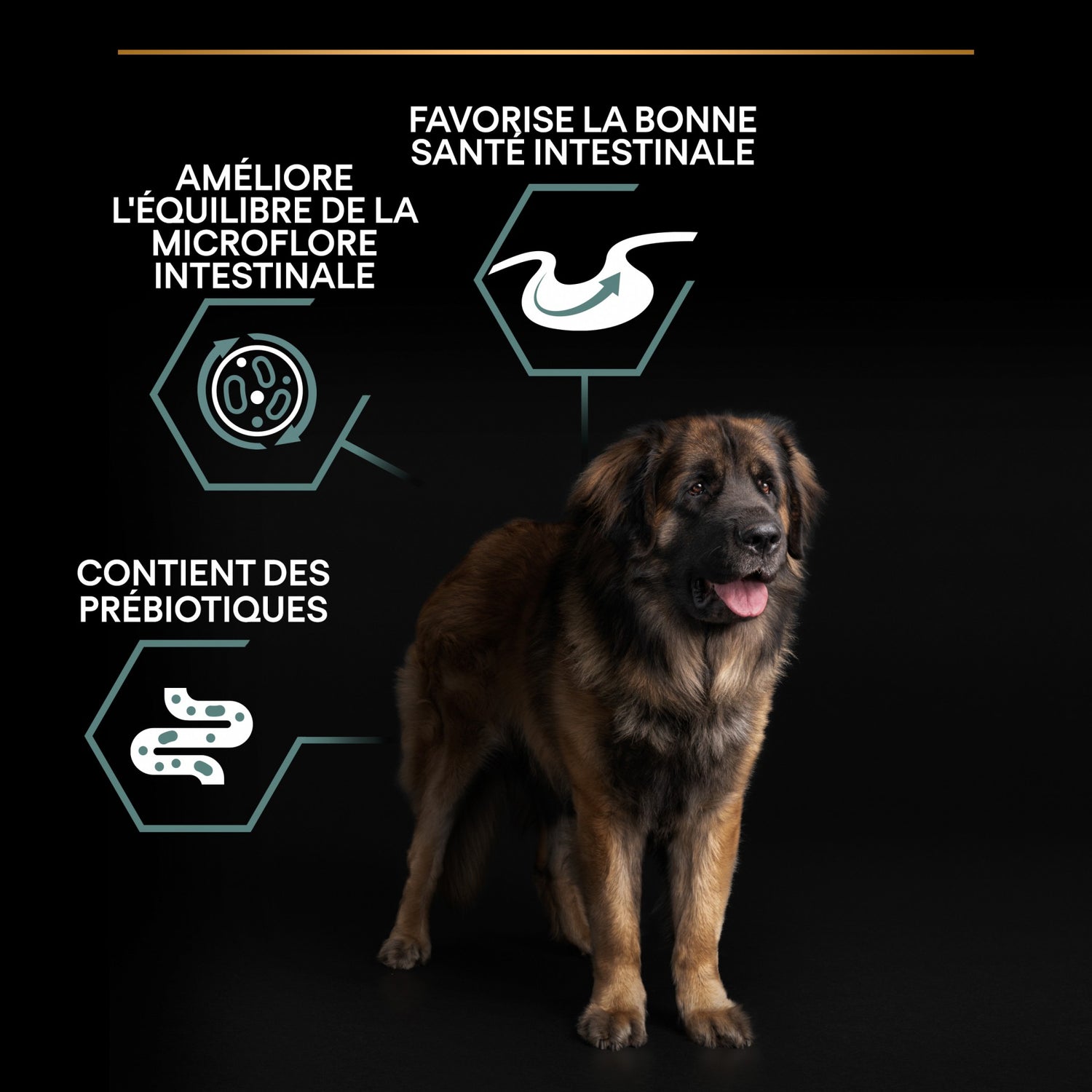 PRO PLAN Sensitive Digestion Large Robust Adult à la Agneau - Croquettes pour chien