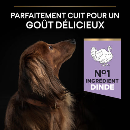 PRO PLAN Sensitive Digestion No Grain Small &amp; Mini Adult à la Dinde - Croquettes pour chien