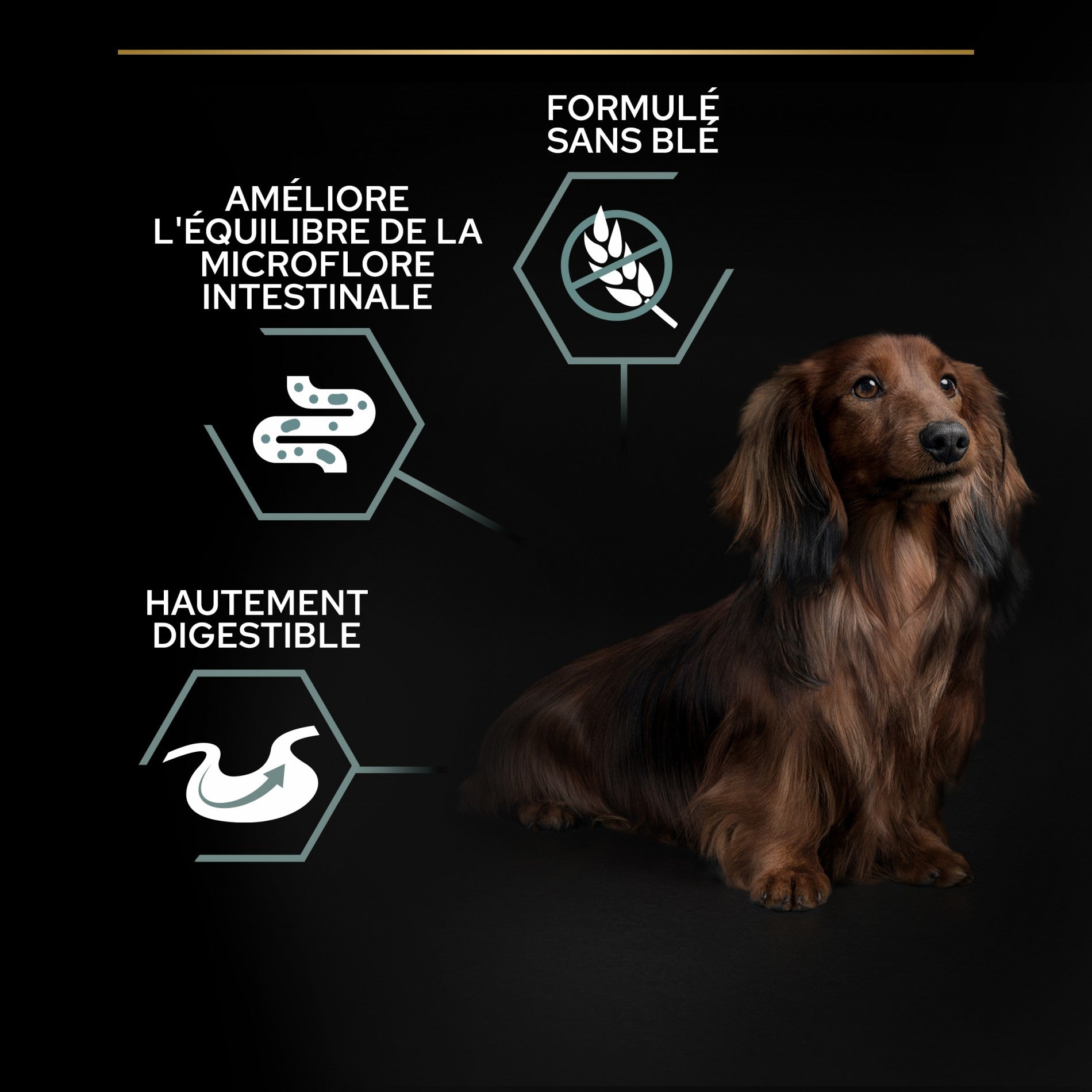 PRO PLAN Sensitive Digestion No Grain Small &amp; Mini Adult à la Dinde - Croquettes pour chien
