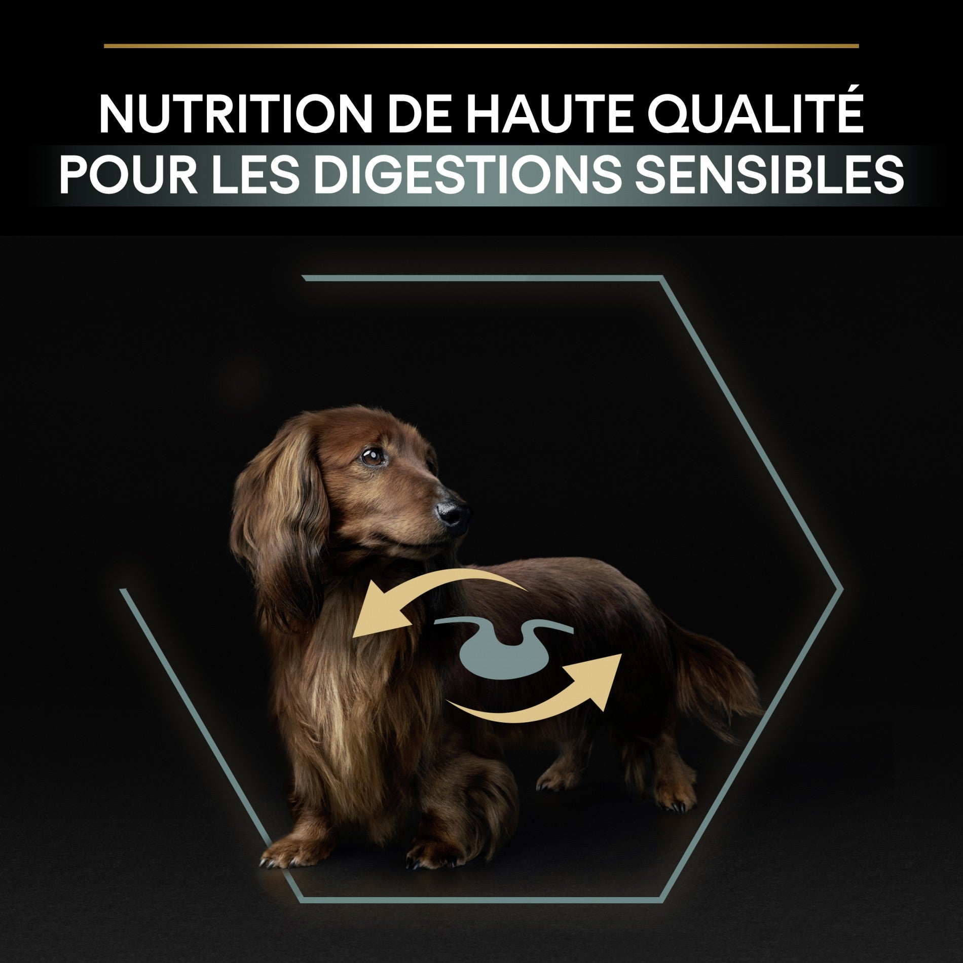 PRO PLAN Sensitive Digestion No Grain Small &amp; Mini Adult à la Dinde - Croquettes pour chien