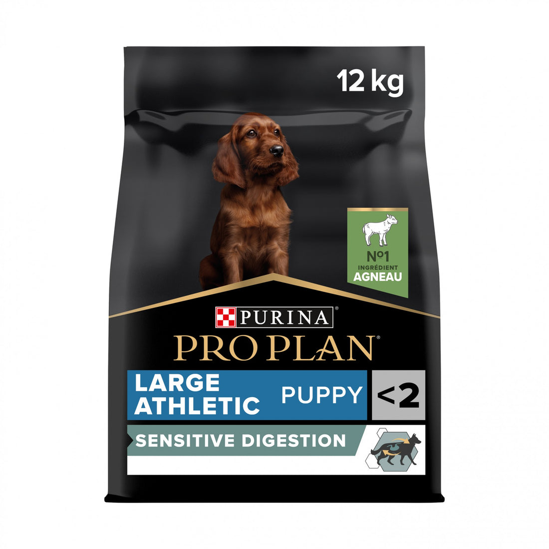 PRO PLAN Sensitive Digestion Large Athletic Puppy à la Agneau- Croquettes pour chien
