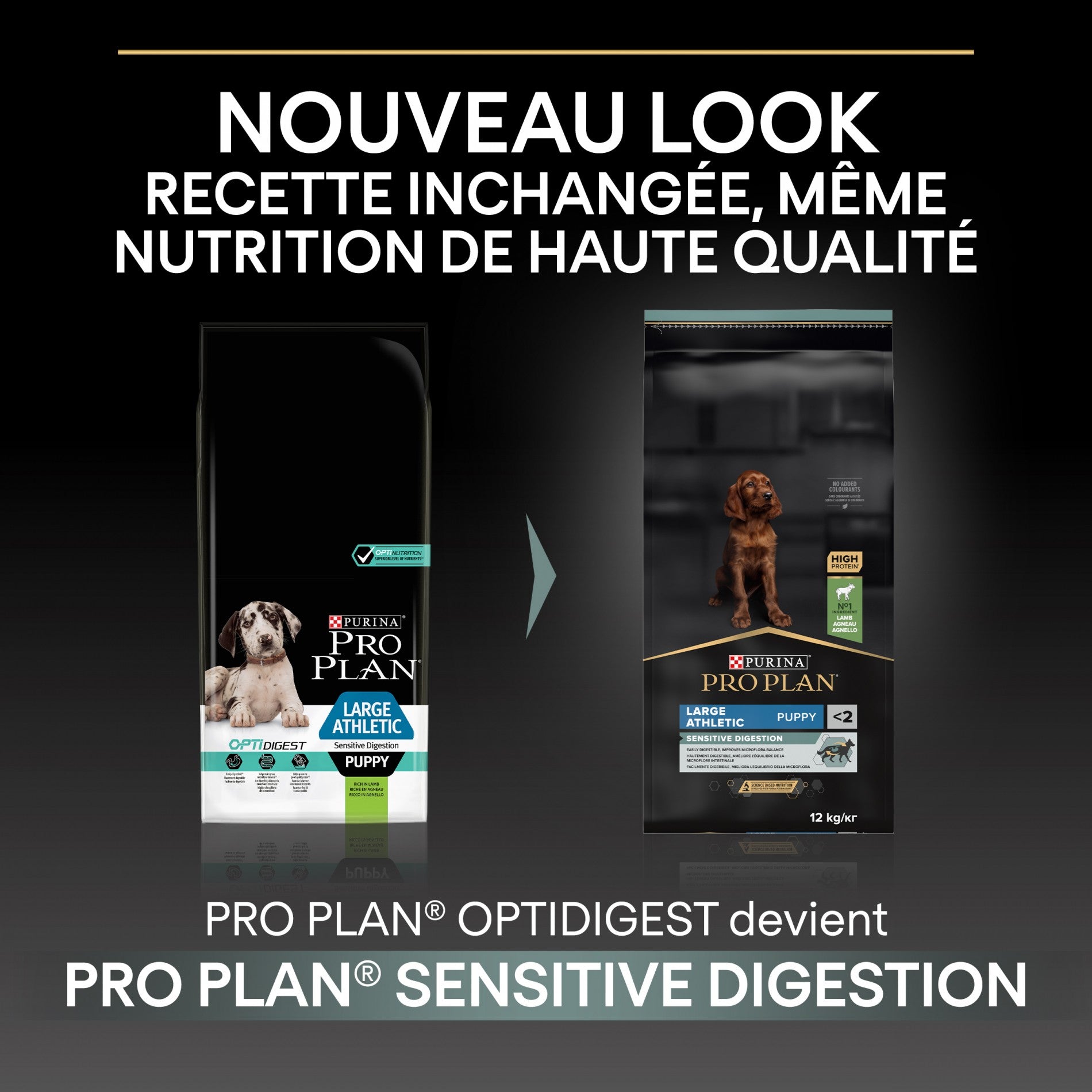 PRO PLAN Sensitive Digestion Large Athletic Puppy à la Agneau- Croquettes pour chien