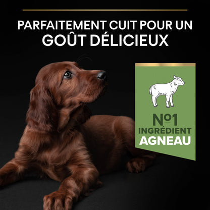 PRO PLAN Sensitive Digestion Large Athletic Puppy à la Agneau- Croquettes pour chien