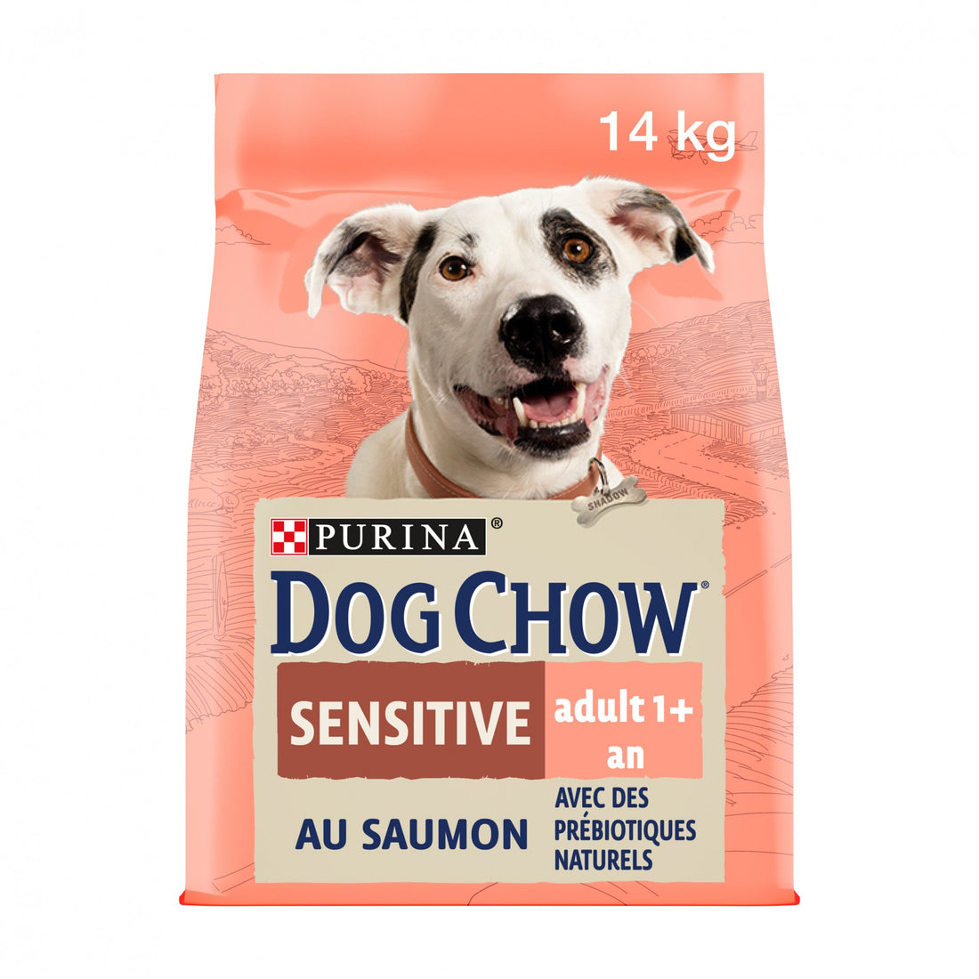 PURINA DOG CHOW Sensitive Adult au Saumon - Croquettes pour chien