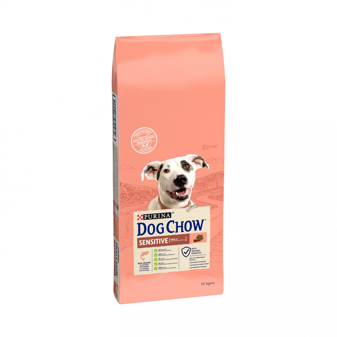PURINA DOG CHOW Sensitive Adult au Saumon - Croquettes pour chien