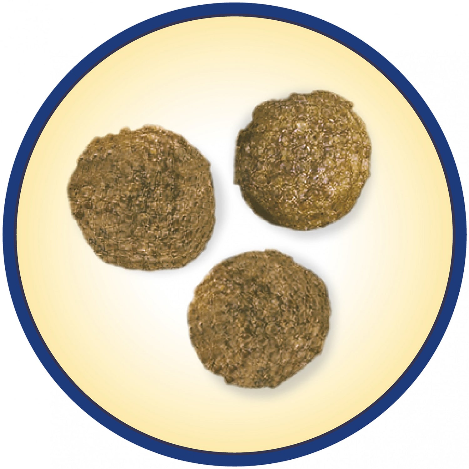 PURINA DOG CHOW Complet Adult au Saumon - Croquette pour chien
